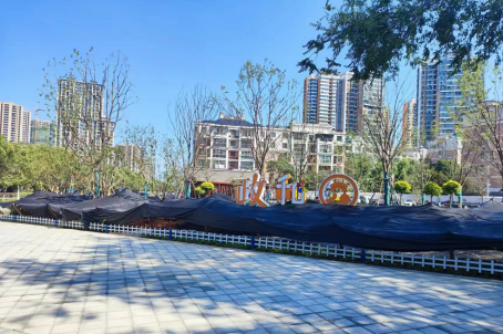 【宣传图片】口袋公园建设