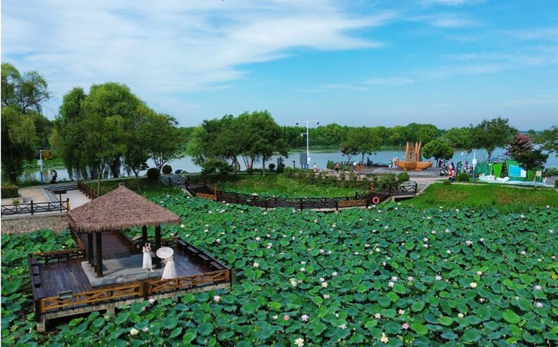 焦岗湖美景引客来