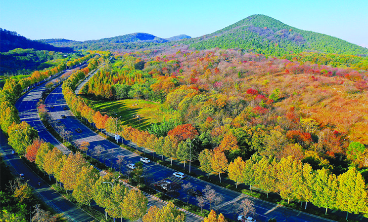 层林尽染 舜耕斑斓